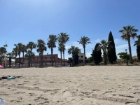 FB_IMG_1669229903533