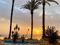 FB_IMG_1678386882432