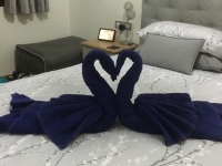 233F95F9-D2B7-4178-A5F9-ECA954A38DFD