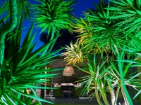 Darshan 2017 night 2